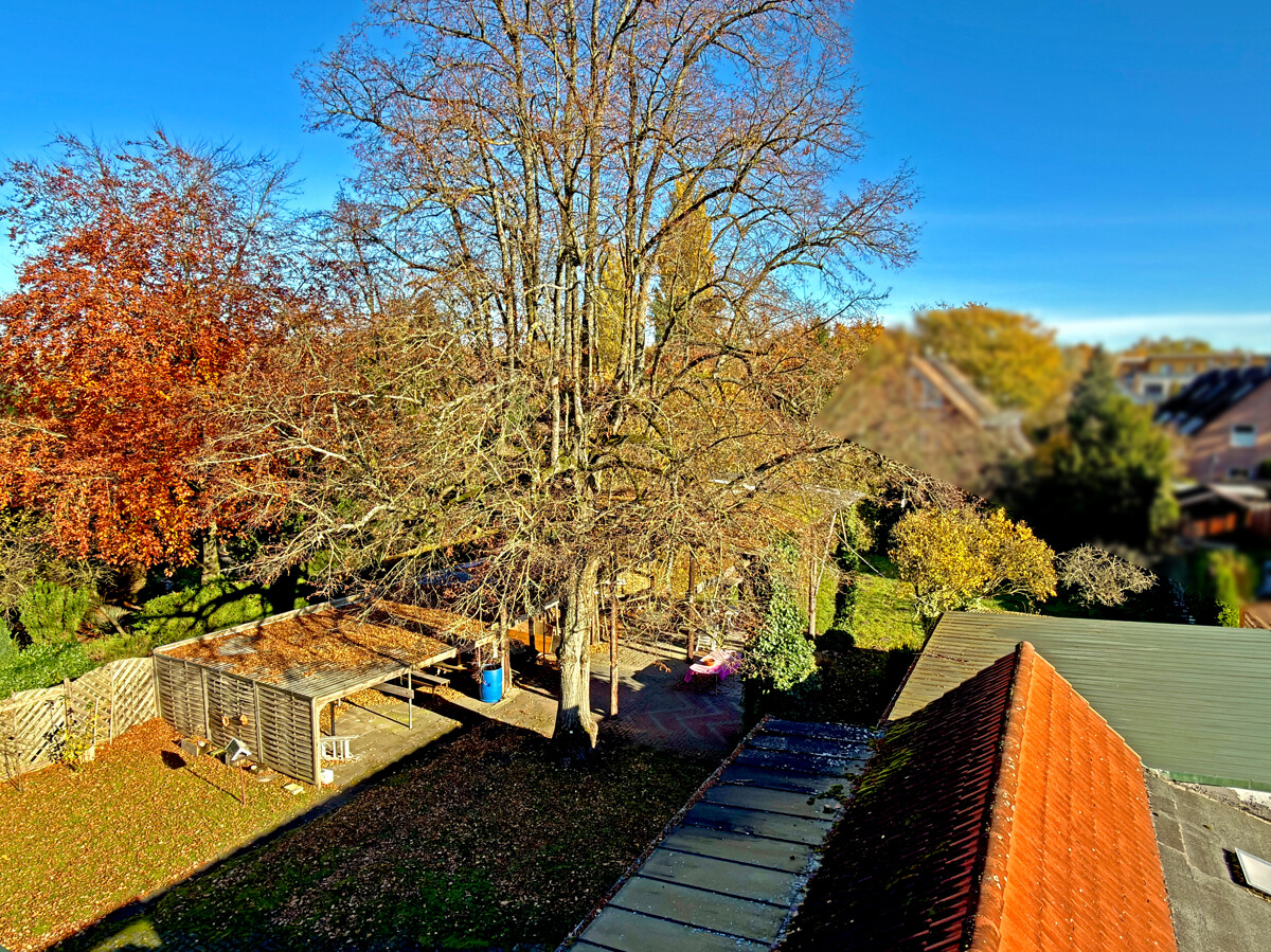 Ausblick aus dem OG