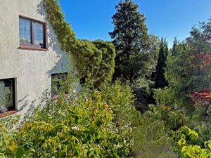 Blick zum Grundstück