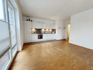 Wohnbereich / Einbauküche