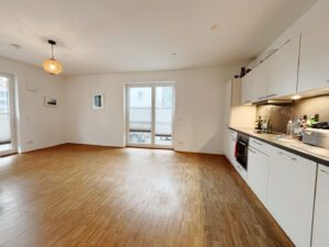 Wohnbereich / Einbauküche