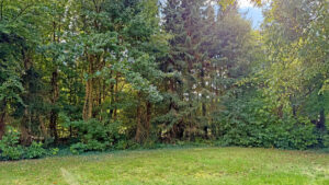 Gartenbereich (Originalbild)