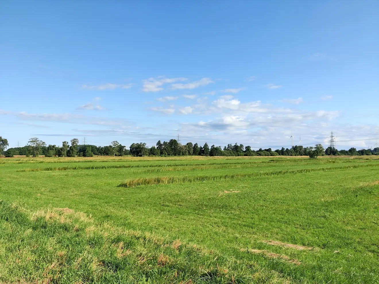 Wentzel-Dr.-kommunales-Liegenschaftsmanagement1