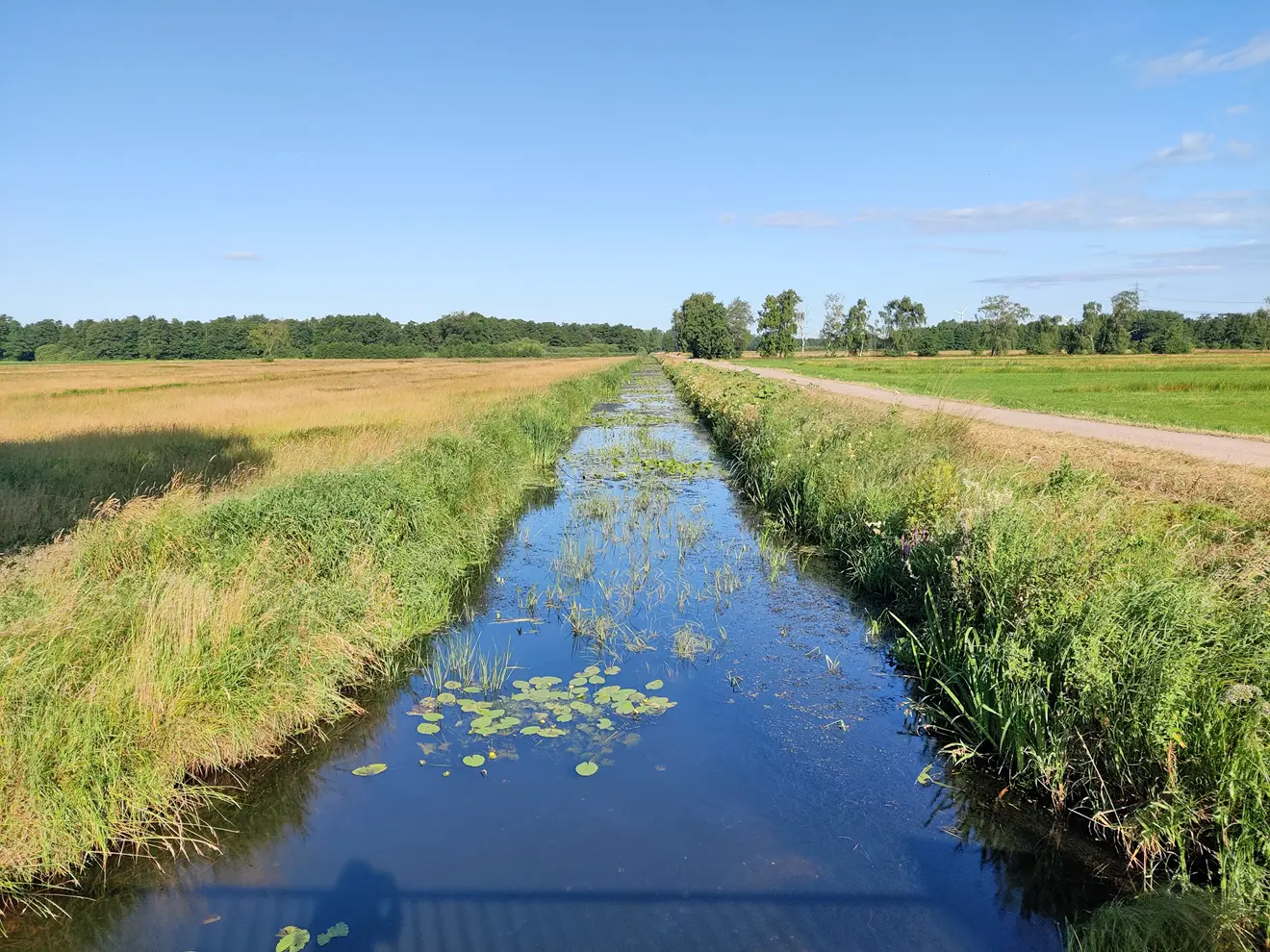 Wentzel-Dr.-kommunales-Liegenschaftsmanagement2