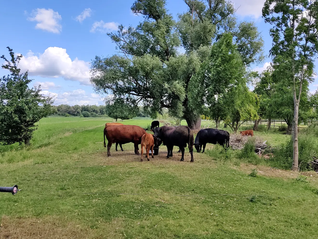 Wentzel-Dr.-kommunales-Liegenschaftsmanagement4