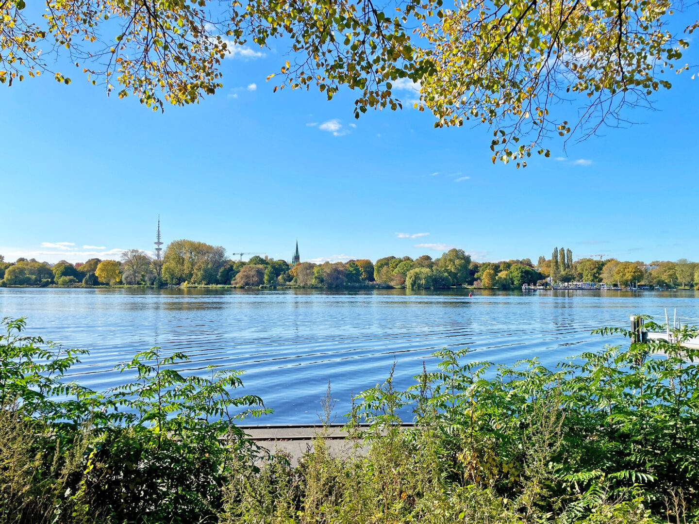 Alster