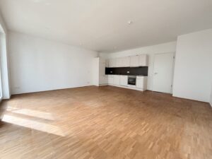Wohnzimmer / Einbauküche