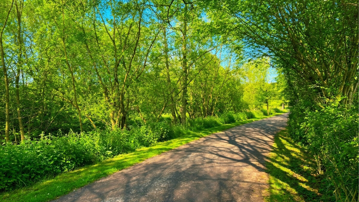 Park