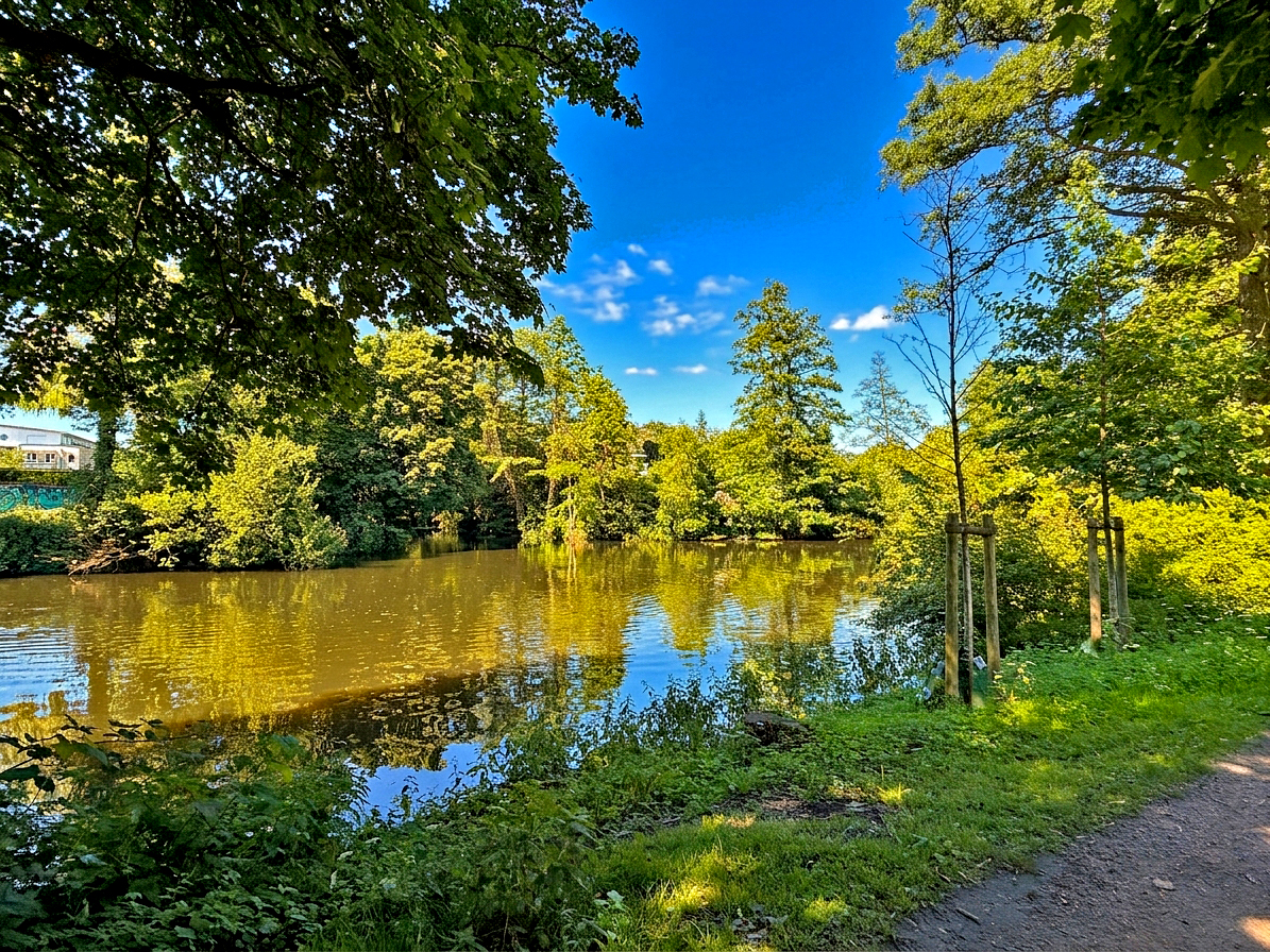 Umgebung