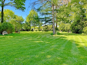 Garten 2
