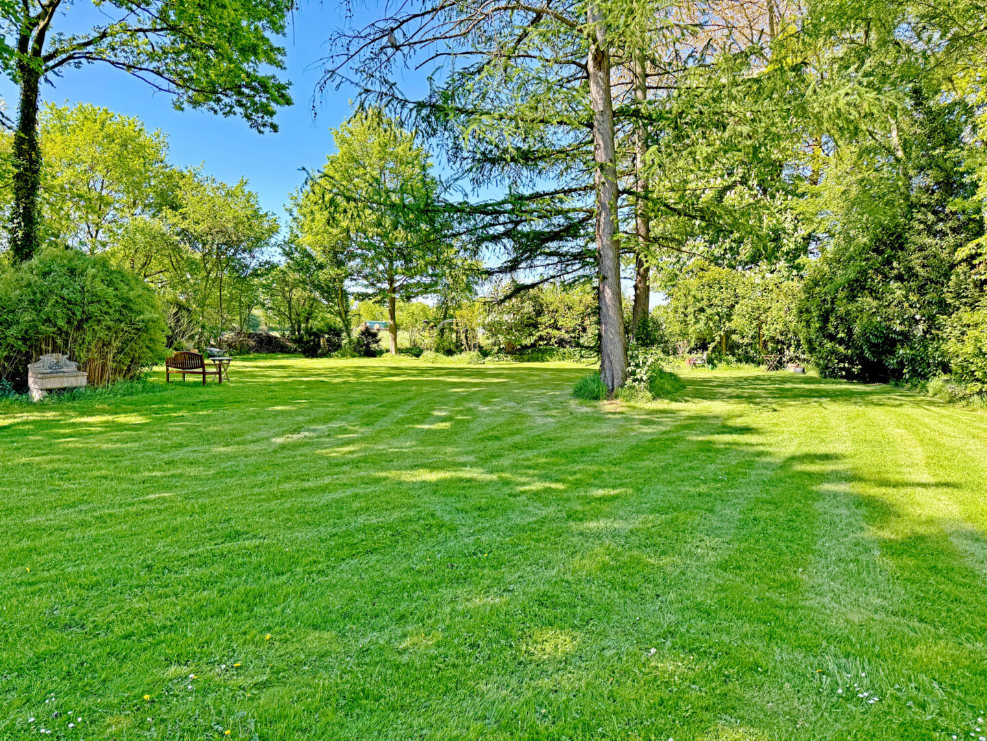 Garten 2