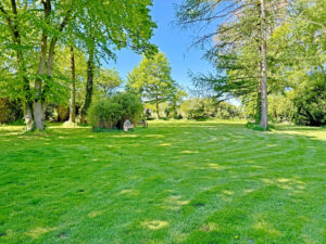 Garten 1