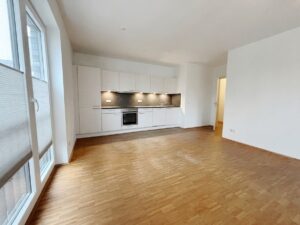 Wohnzimmer / Einbauküche