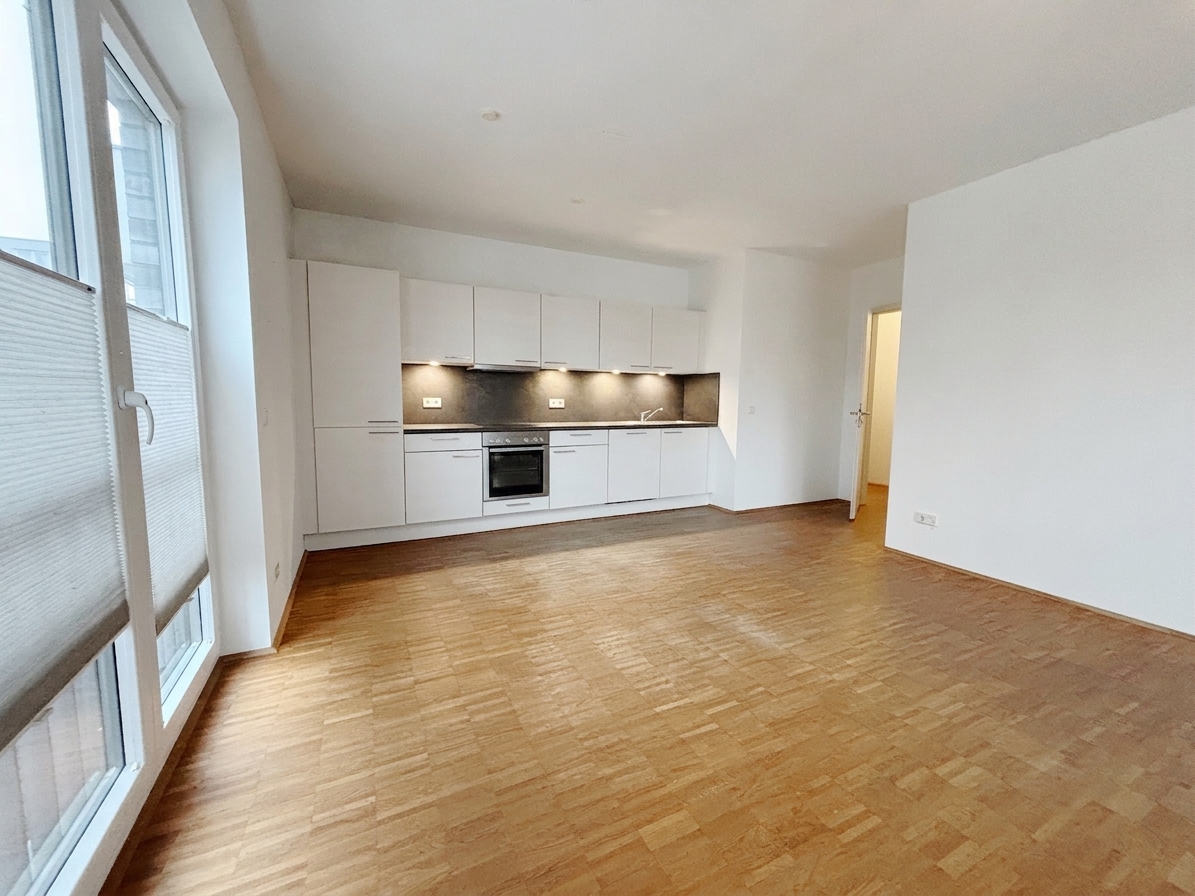 Wohnzimmer / Einbauküche