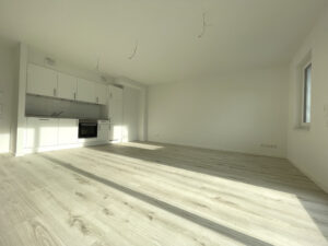 Wohnzimmer mit offener Einbauküche