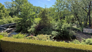 Aussicht Balkon