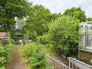 Weg zur Straße