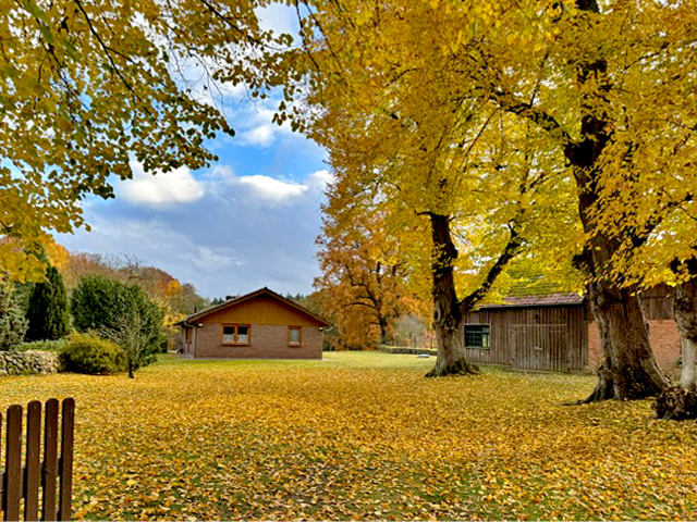 Bennin Einfahrt zum Haus(5)