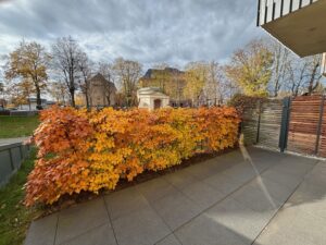 Terrasse Bsp.