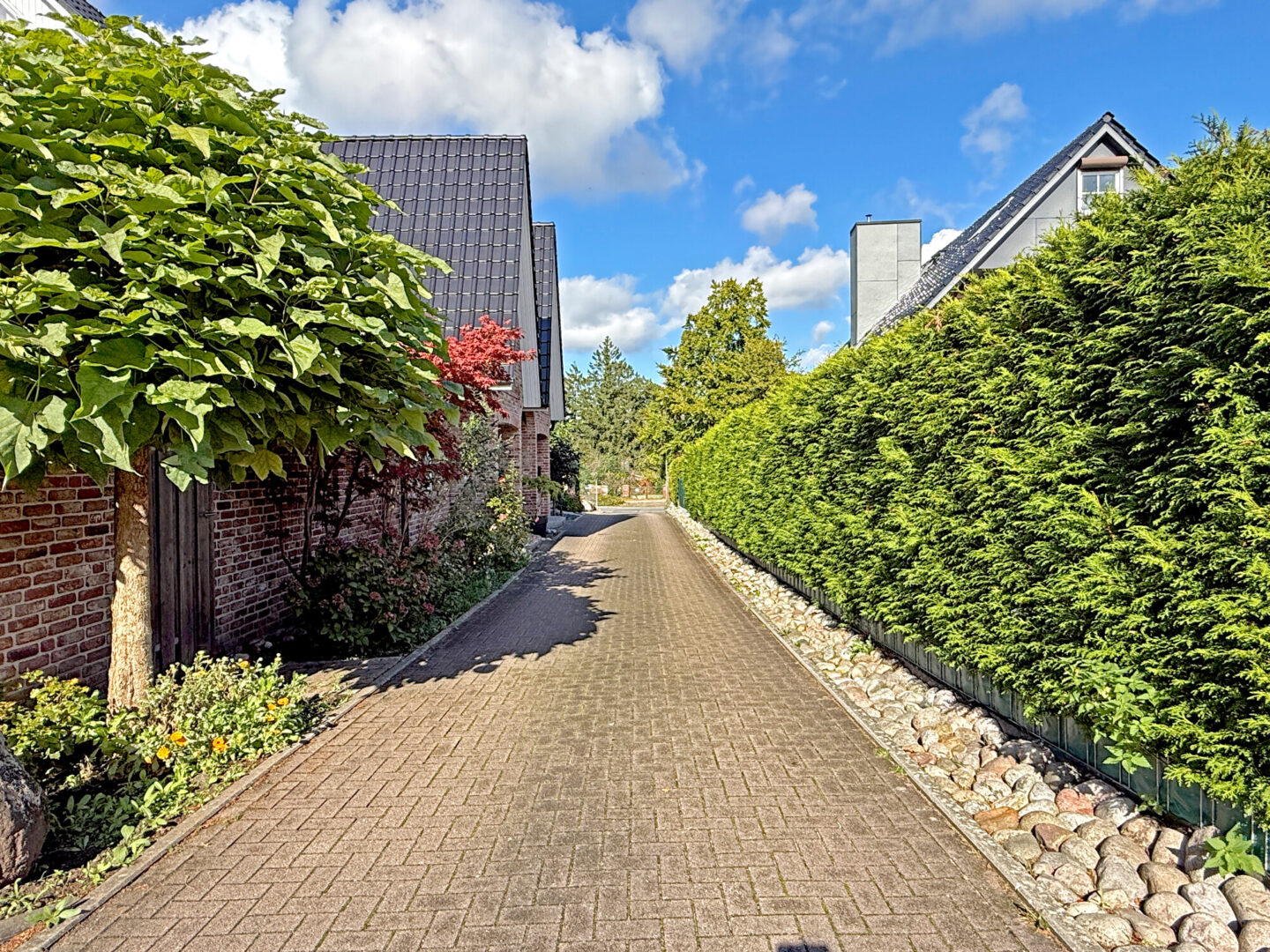 Ansicht