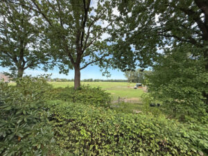 Blick auf die Pferdekoppel
