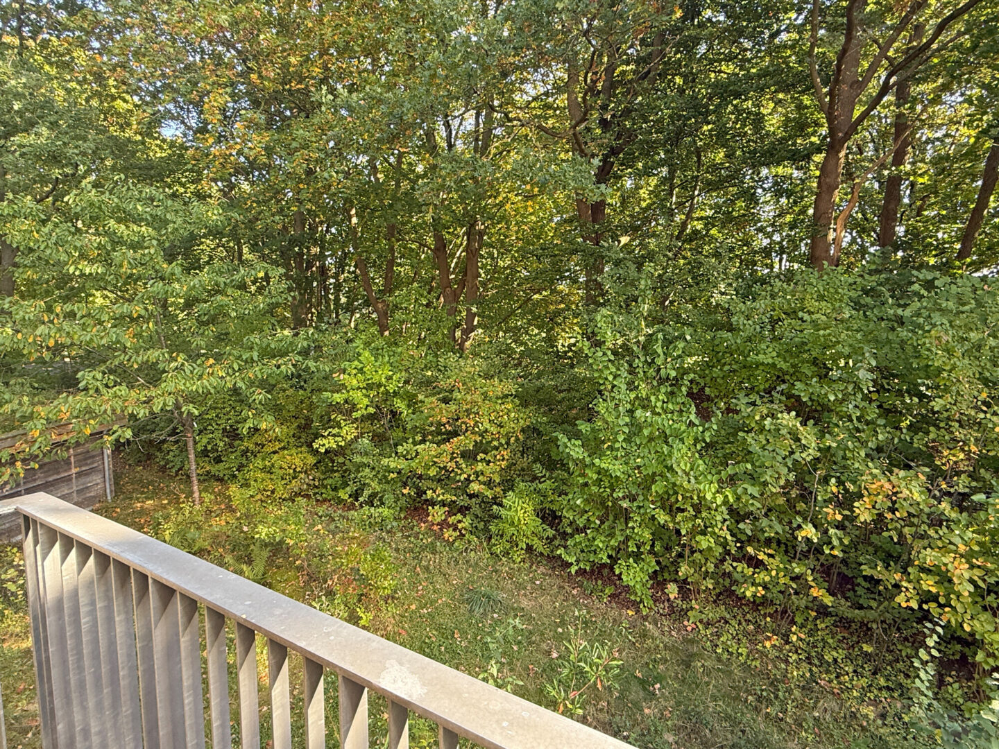 Blick vom Balkon