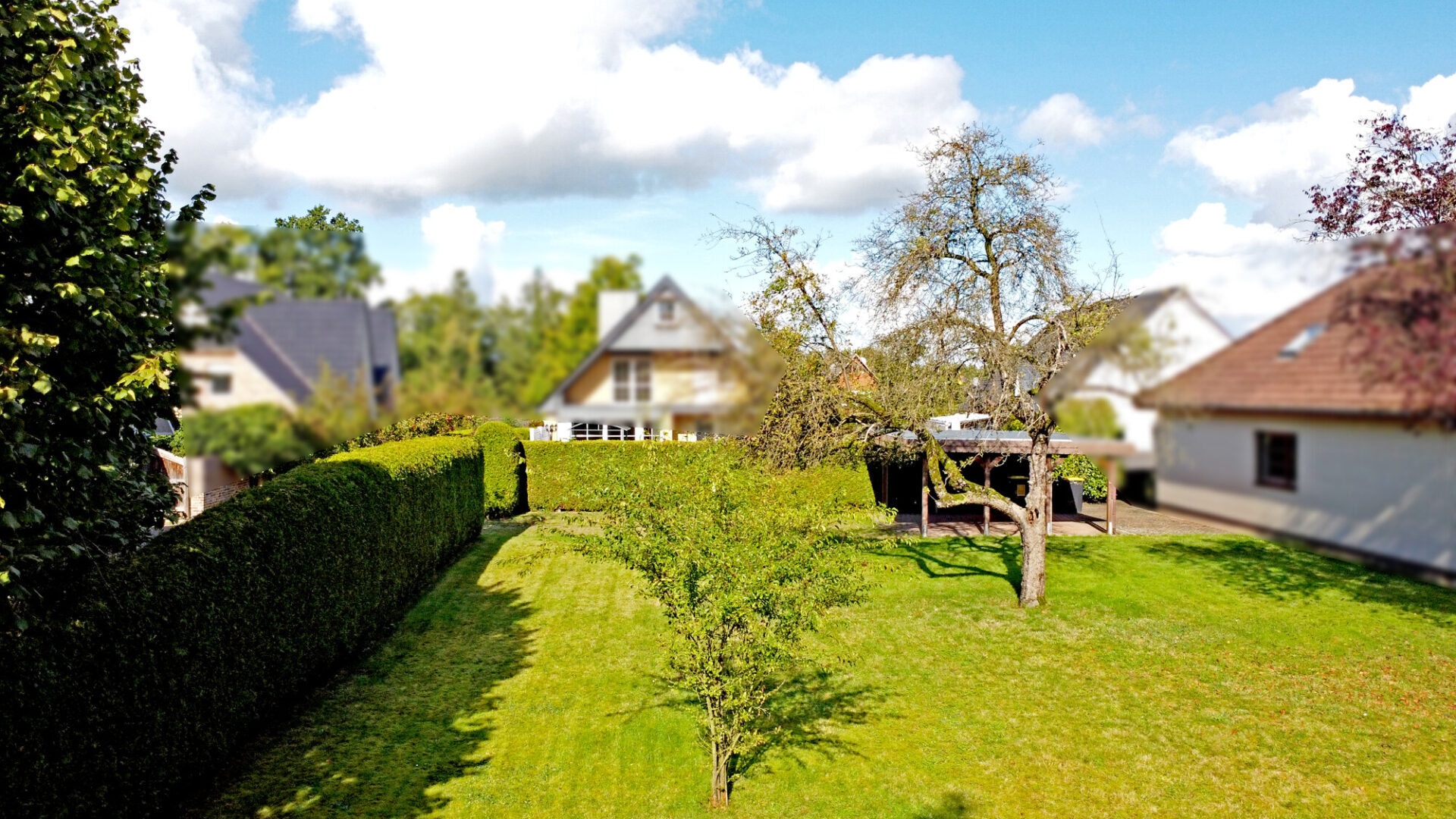 Ansicht