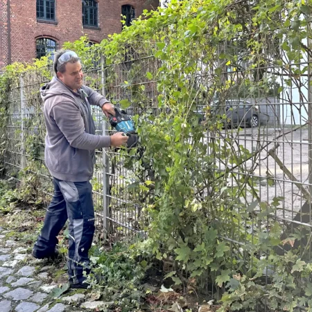 Wentzel Dr. Facility Management Heckenschneider