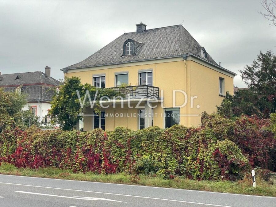 Wundervolles Herrenhaus aus den 30er Jahren im schönen Rheingau sucht neuen Eigentümer - Hausansicht