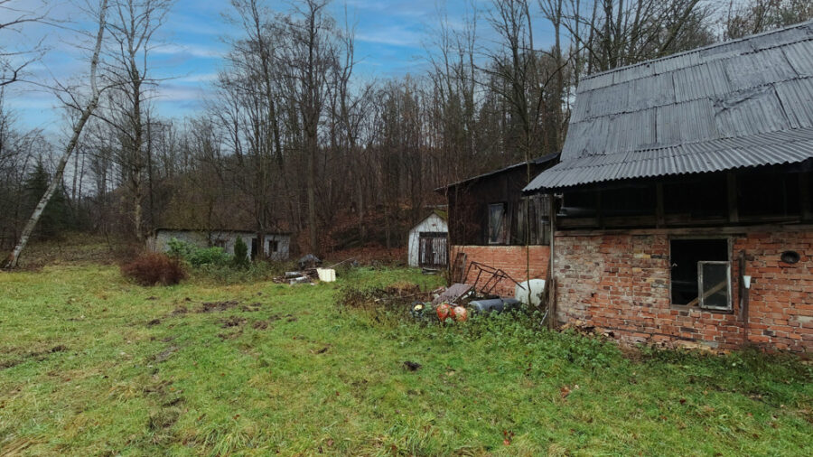 Einfamilienhaus mit Potenzial - Wohnen am grünen Rand von Hartenstein - Bild