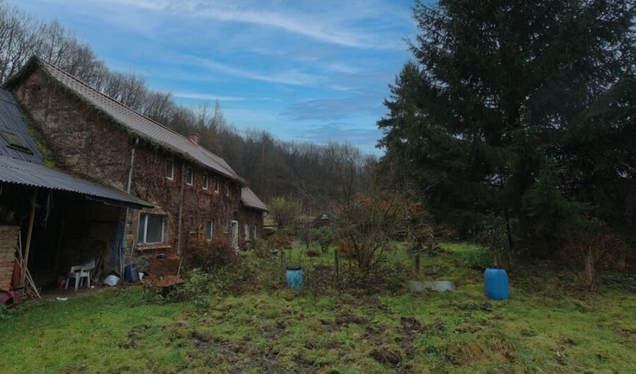 Einfamilienhaus mit Potenzial - Wohnen am grünen Rand von Hartenstein - Bild