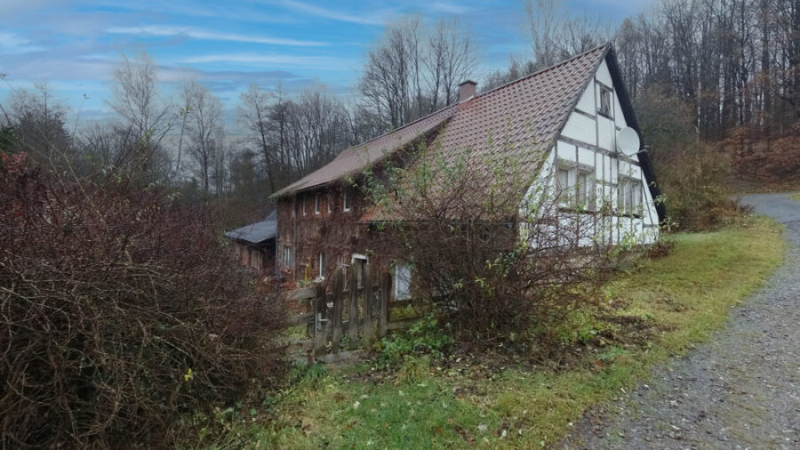 Einfamilienhaus mit Potenzial - Wohnen am grünen Rand von Hartenstein - Titelbild