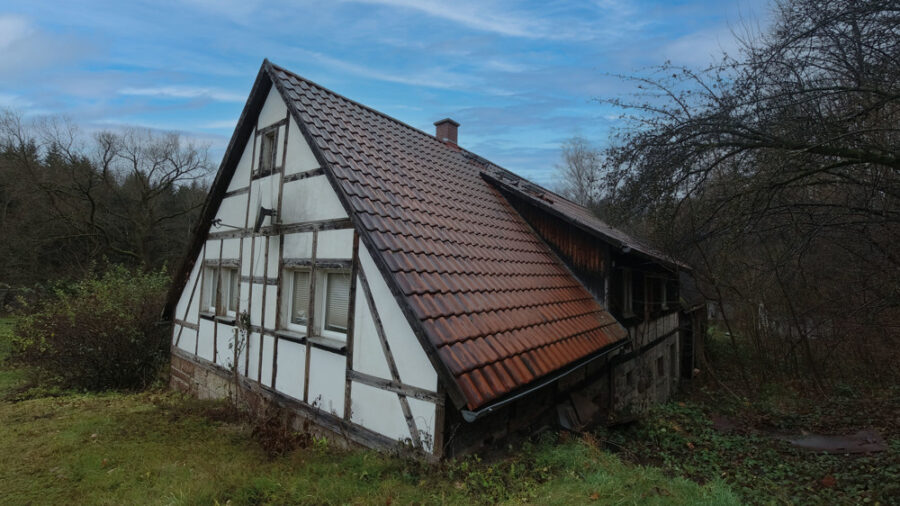 Einfamilienhaus mit Potenzial - Wohnen am grünen Rand von Hartenstein - Bild