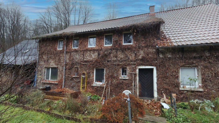 Einfamilienhaus mit Potenzial - Wohnen am grünen Rand von Hartenstein - Bild