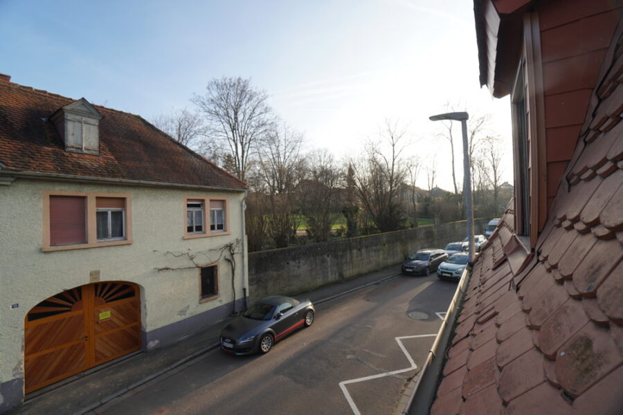 Einfamilienhaus in zentraler Lage von Nierstein - Blick vom Haus Richtung Stadtpark