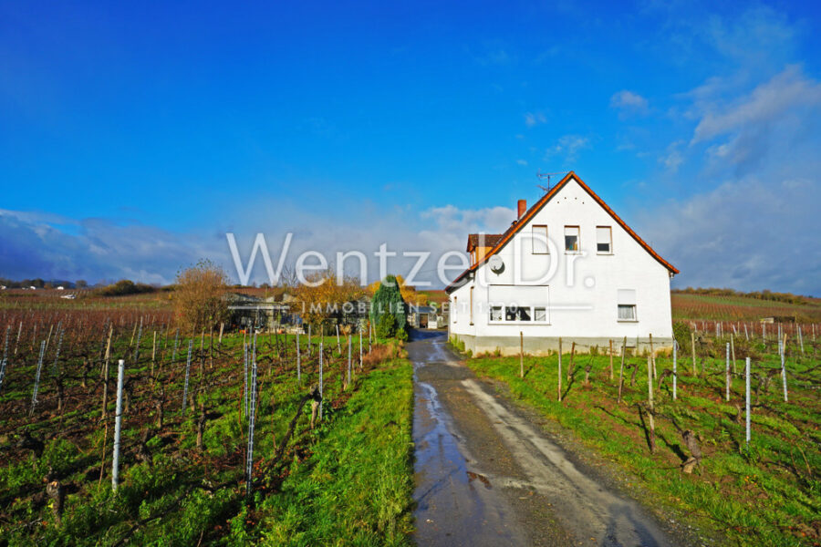 Idyllische Lage im Herzen des Rheingaus–Perfekt für Ihr Weingut oder landwirtschaftlichen Betrieb - Zufahrt zum Objekt