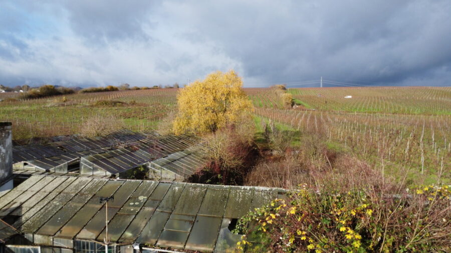 Idyllische Lage im Herzen des Rheingaus–Perfekt für Ihr Weingut oder landwirtschaftlichen Betrieb - Übersicht Grundstück