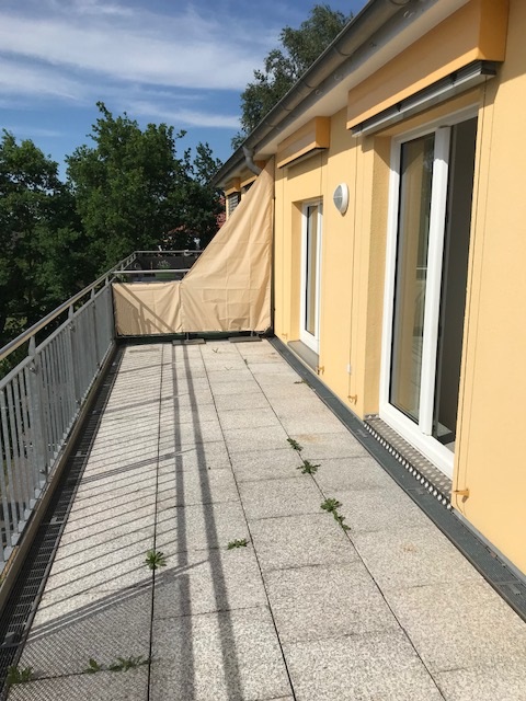 Großzügige Familienwohnung mit Dachterrasse - Dachterrasse