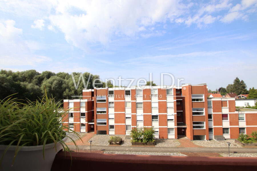 Modernisierte 3 Raum-Wohnung mit Balkon und TG-Stellplatz in beliebter Lage - Den Park vor der Tür - Aussicht Balkon