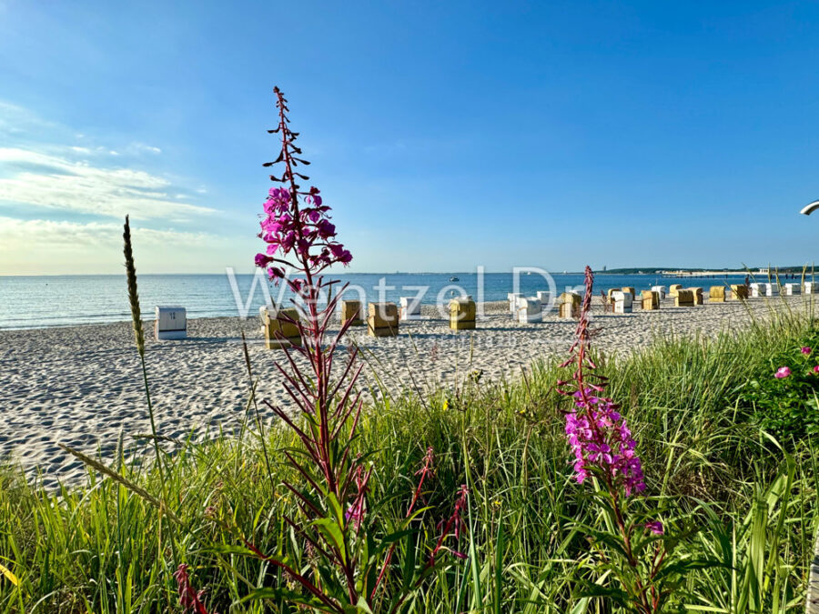 Traumhaftes Einfamilienhaus mit Meerblick und großzügigem Grundstück in bester Lage von Sierksdorf - Strand