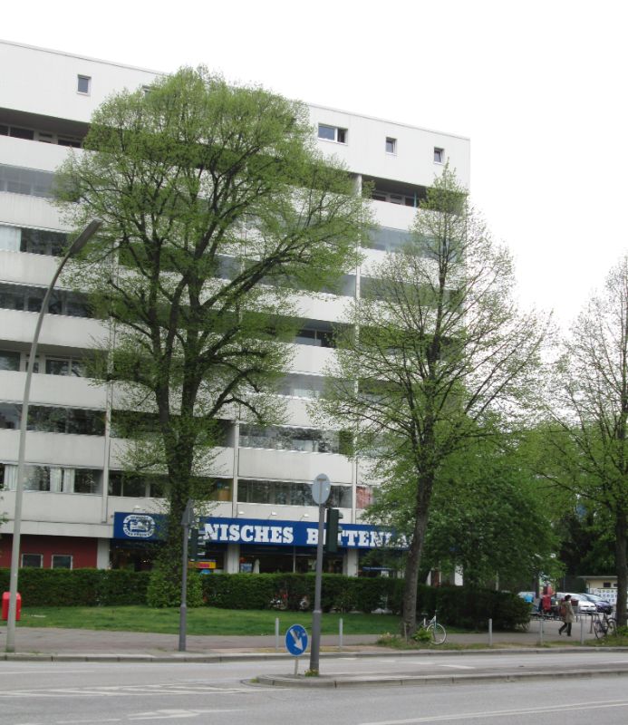 Wohnung mit Weitblick Richtung City - Aussenansicht