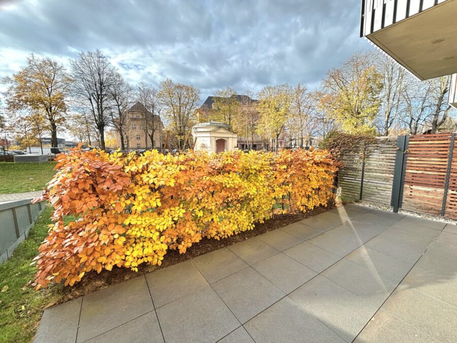 Zentrale Wohlfühloase: 2-Zimmer-Wohnung mit schöner Terrasse - Sonnige Terrasse