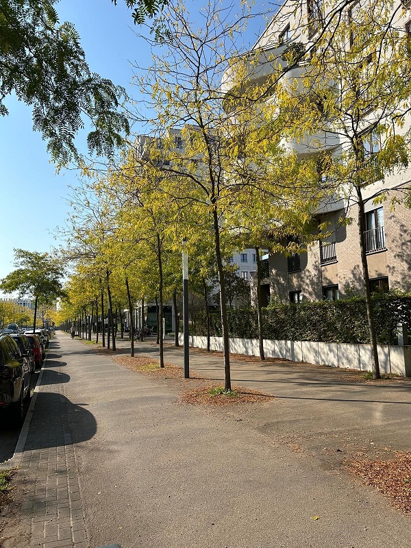 Gemütliche 2 Zimmerwohnung mit Balkon - Außenansicht