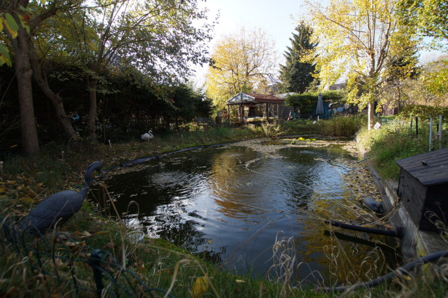 Gemütliches Einfamilienhaus mit tollem Gartenb - Bild