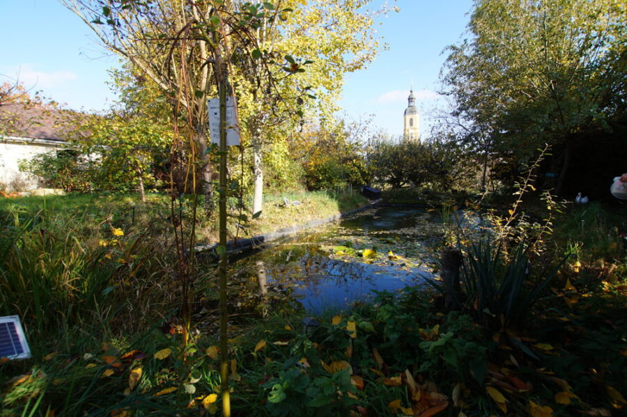 Gemütliches Einfamilienhaus mit tollem Gartenb - Bild