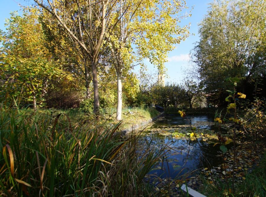 Gemütliches Einfamilienhaus mit tollem Gartenb - Bild