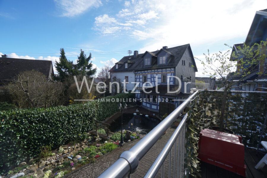 Wunderschönes Anwesen mit 2 EFH, Teich, Bürotrakt, Werkstatt, Hof, Garten, Fahrzeughalle und Scheune - Blick vom Balkon zum HG