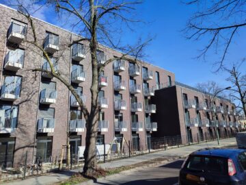 Apartment sucht Student – in der Nähe der Universität, 14469 Potsdam, Erdgeschosswohnung