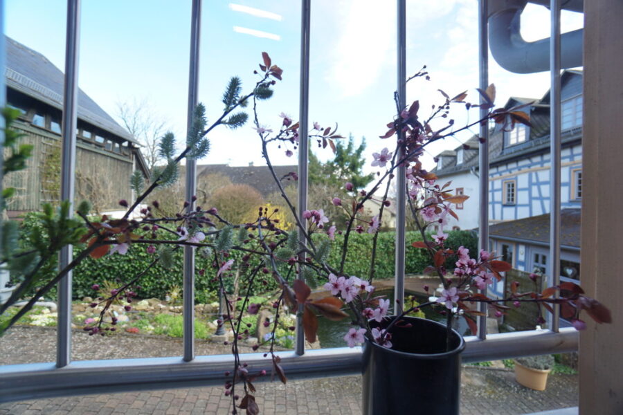 Wunderschönes Anwesen mit 2 EFH, Teich, Bürotrakt, Werkstatt, Hof, Garten, Fahrzeughalle und Scheune - Blick vom Balkon NG