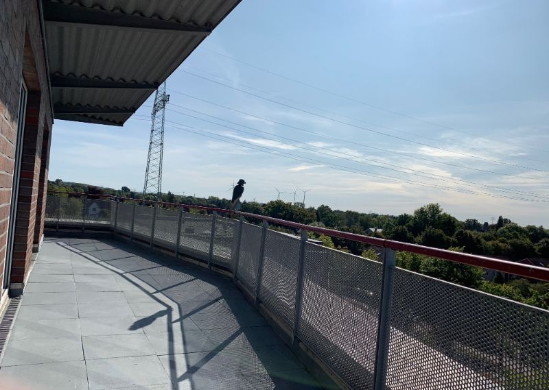 2 - Zimmerwohnung mit einladender Dachterrasse - große Terrasse