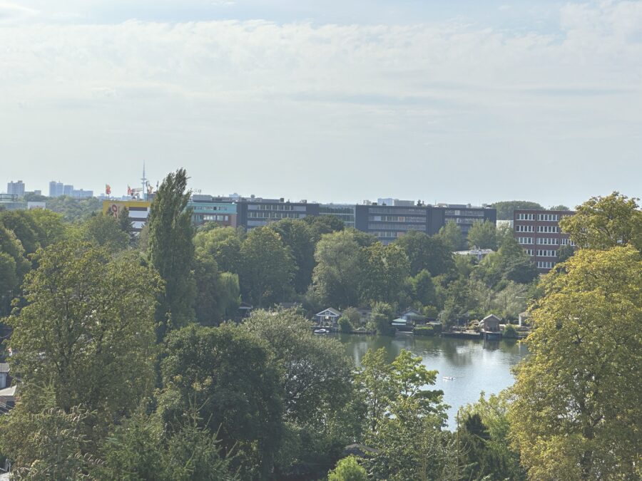 Über den Dächern des Charlie-Mills-Quartiers! - Aussicht vom Balkon